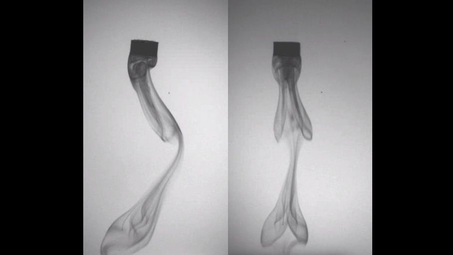 image of Wake-Induced Oscillatory Paths of Bodies Freely Rising or Falling in Fluids: Supplemental Video 3a