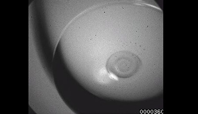 image of Drop Impact on a Solid Surface: Supplemental Video 6