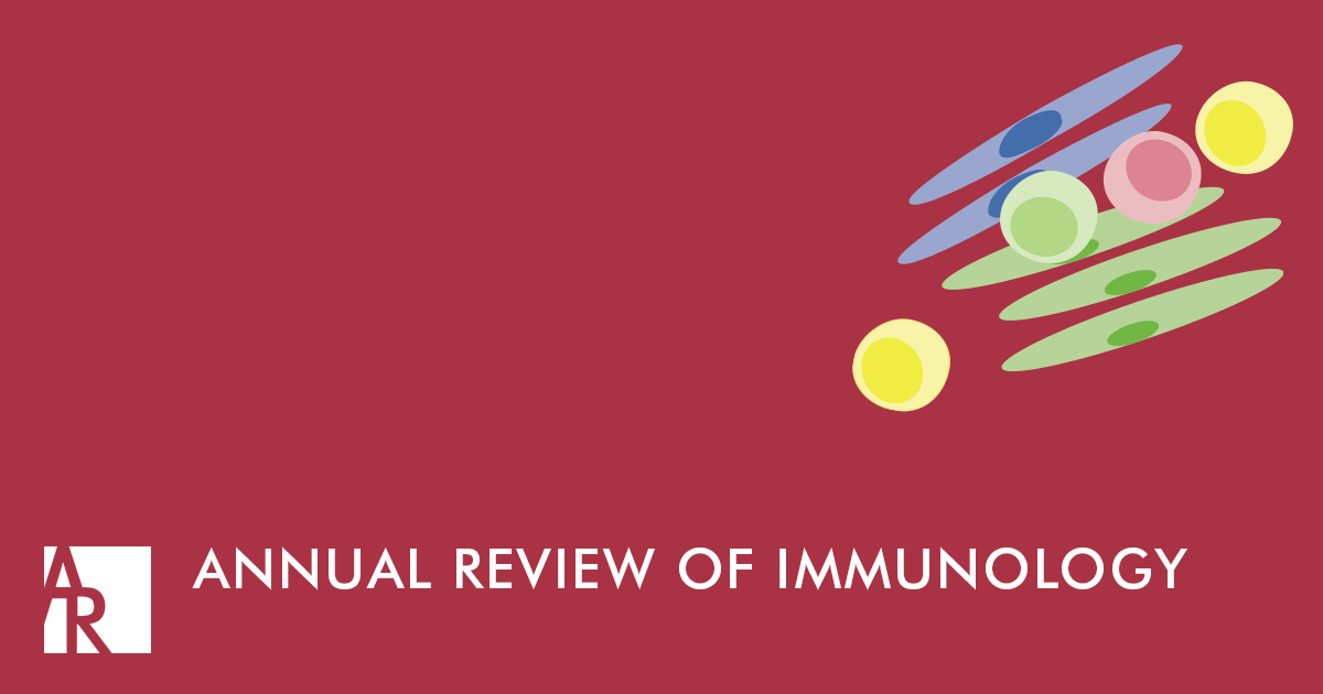 The Innate Immune Response to Mycobacterium tuberculosis Infection