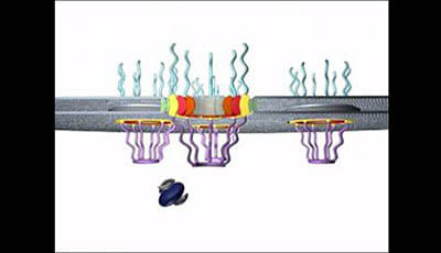 image of The Structure of the Nuclear Pore Complex: Supplemental Video 3