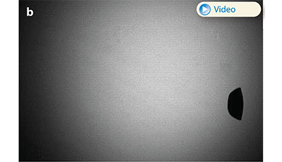 image of Aerobreakup of Newtonian and Viscoelastic Liquids: Figure 3b image of Aerobreakup of Newtonian and Viscoelastic Liquids: Figure 3b