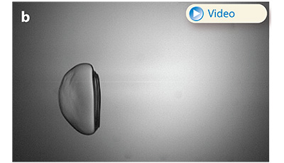 image of Aerobreakup of Newtonian and Viscoelastic Liquids: Figure 8 image of Aerobreakup of Newtonian and Viscoelastic Liquids: Figure 8