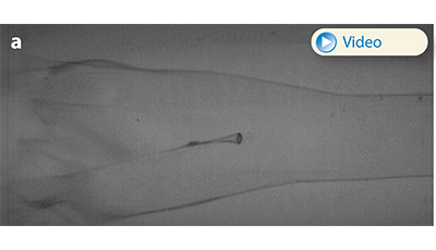 image of Aerobreakup of Newtonian and Viscoelastic Liquids: Figure 9a image of Aerobreakup of Newtonian and Viscoelastic Liquids: Figure 9a