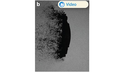 image of Aerobreakup of Newtonian and Viscoelastic Liquids: Figure 14 image of Aerobreakup of Newtonian and Viscoelastic Liquids: Figure 14