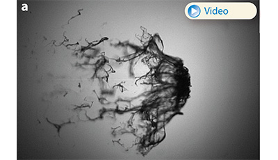 image of Aerobreakup of Newtonian and Viscoelastic Liquids: Figure 17a image of Aerobreakup of Newtonian and Viscoelastic Liquids: Figure 17a
