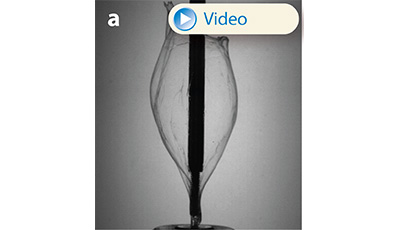 image of Aerobreakup of Newtonian and Viscoelastic Liquids: Figure 19a image of Aerobreakup of Newtonian and Viscoelastic Liquids: Figure 19a