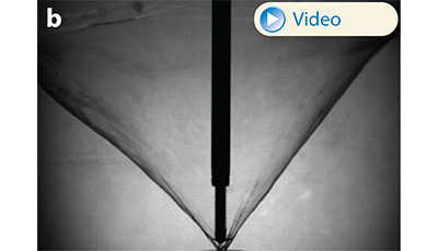 image of Aerobreakup of Newtonian and Viscoelastic Liquids: Figure 19b image of Aerobreakup of Newtonian and Viscoelastic Liquids: Figure 19b
