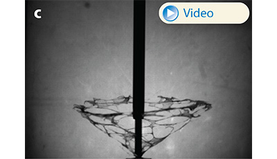 image of Aerobreakup of Newtonian and Viscoelastic Liquids: Figure 19c