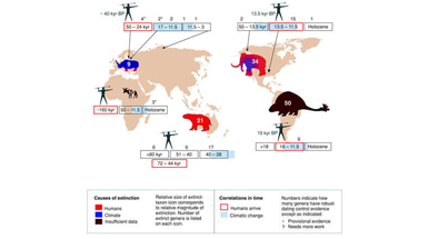 Late Quaternary Extinctions: State of the Debate
