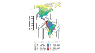 Global State of Biodiversity and Loss