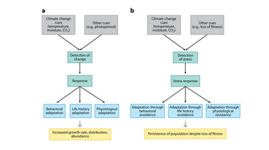 Genetics of Climate Change Adaptation