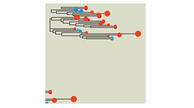 Using Ancient DNA to Understand Evolutionary and Ecological Processes