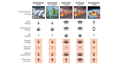 Biomarker Records Associated with Mass Extinction Events