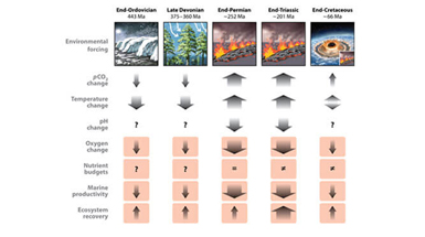 Biomarker Records Associated with Mass Extinction Events