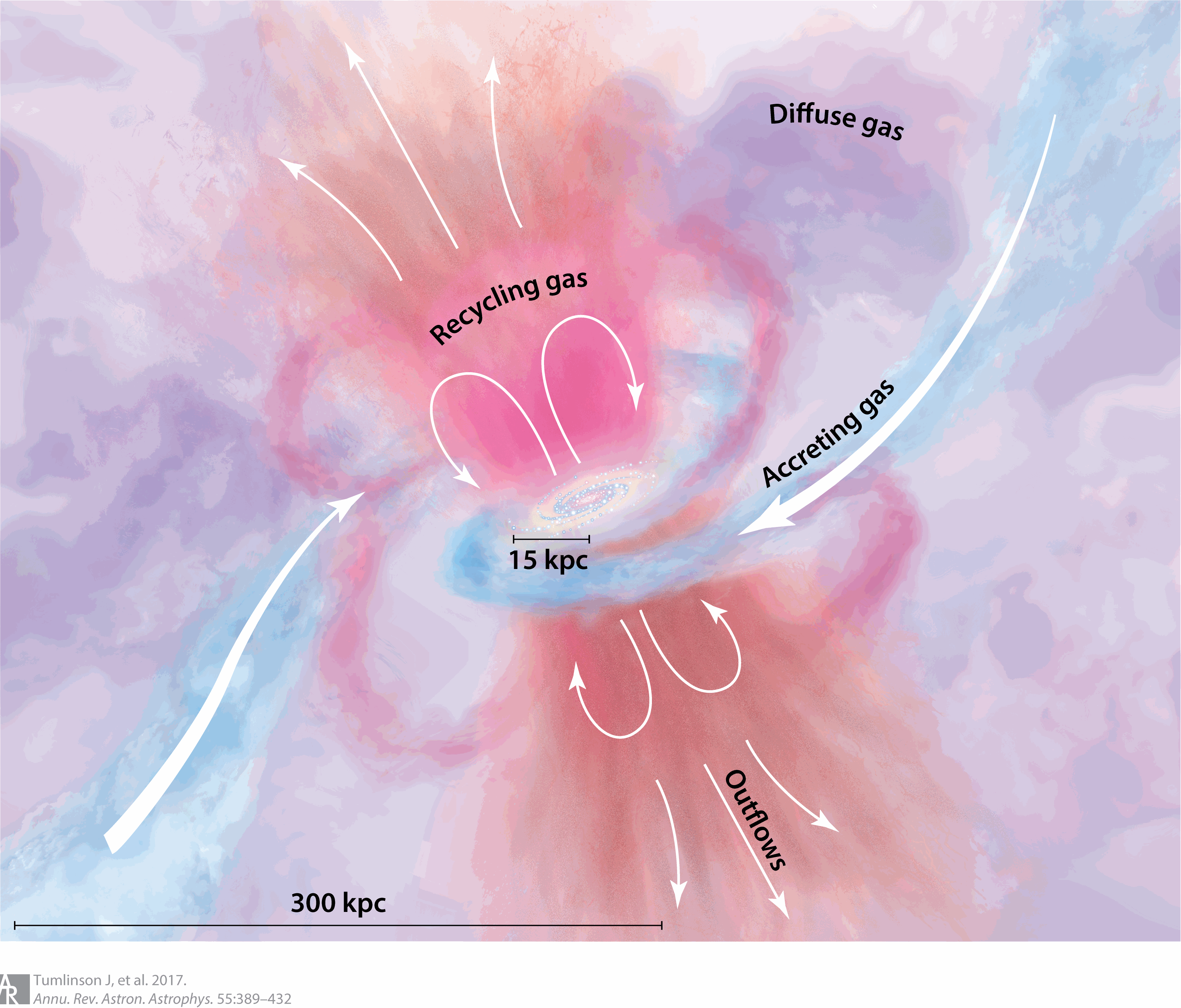 The cosmic baryon cycle from Tumlinson et al., 2017