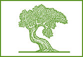 a tree